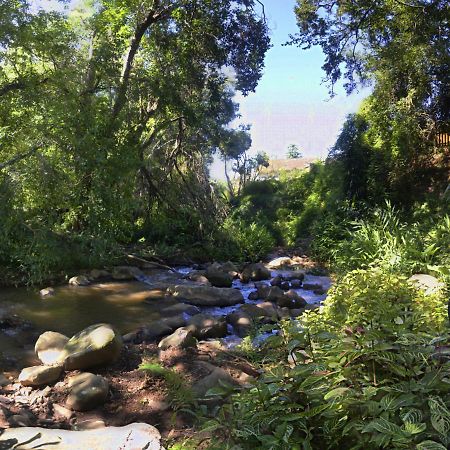 Brevisbrook B&B Pietermaritzburg Exterior photo